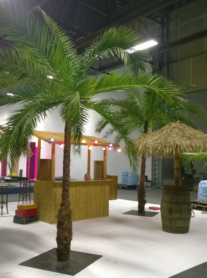 Large Palm Trees