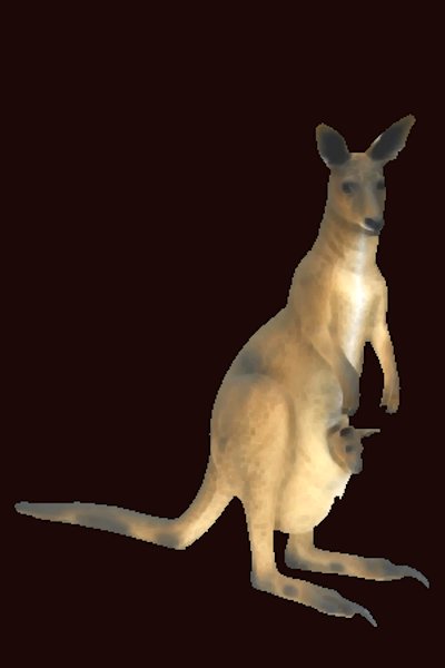 Large Kangaroo